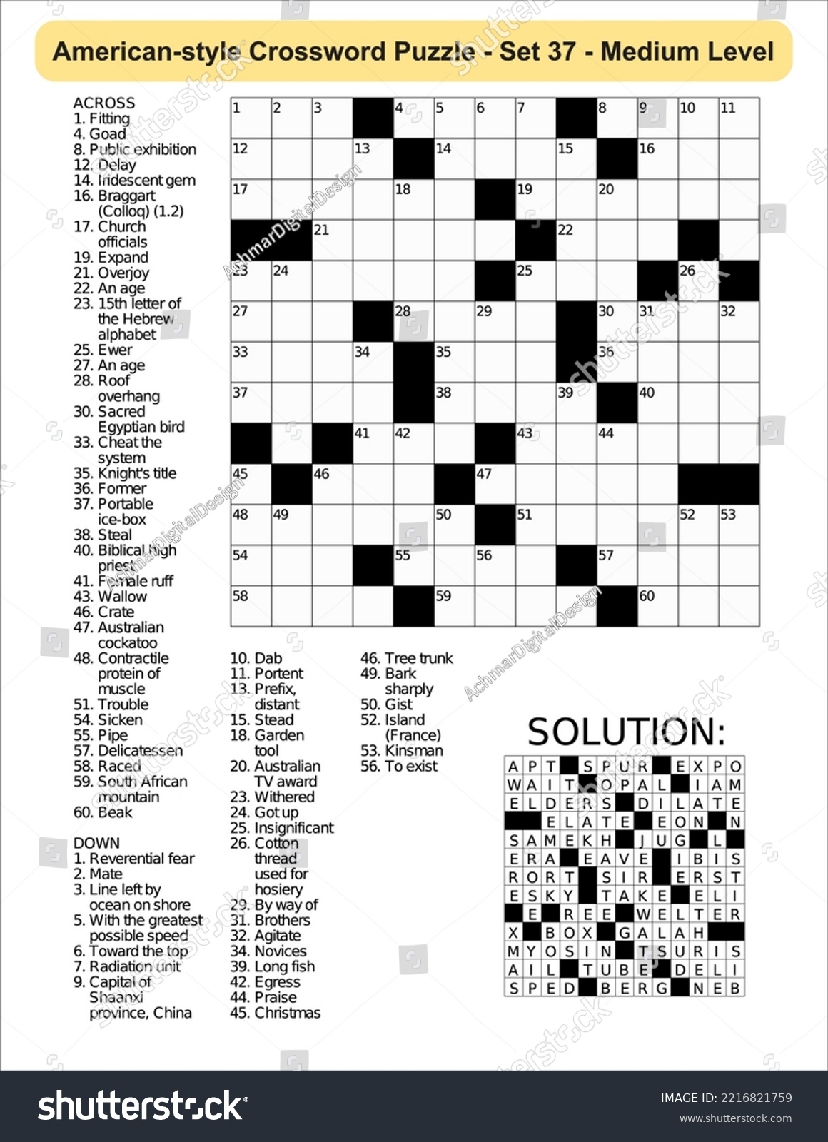 American style Crossword Puzzle Game 13 X Stock Vector Royalty Free 2216821759 Shutterstock