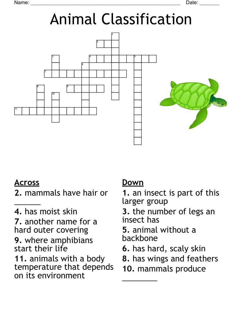 Animal Classification Crossword WordMint