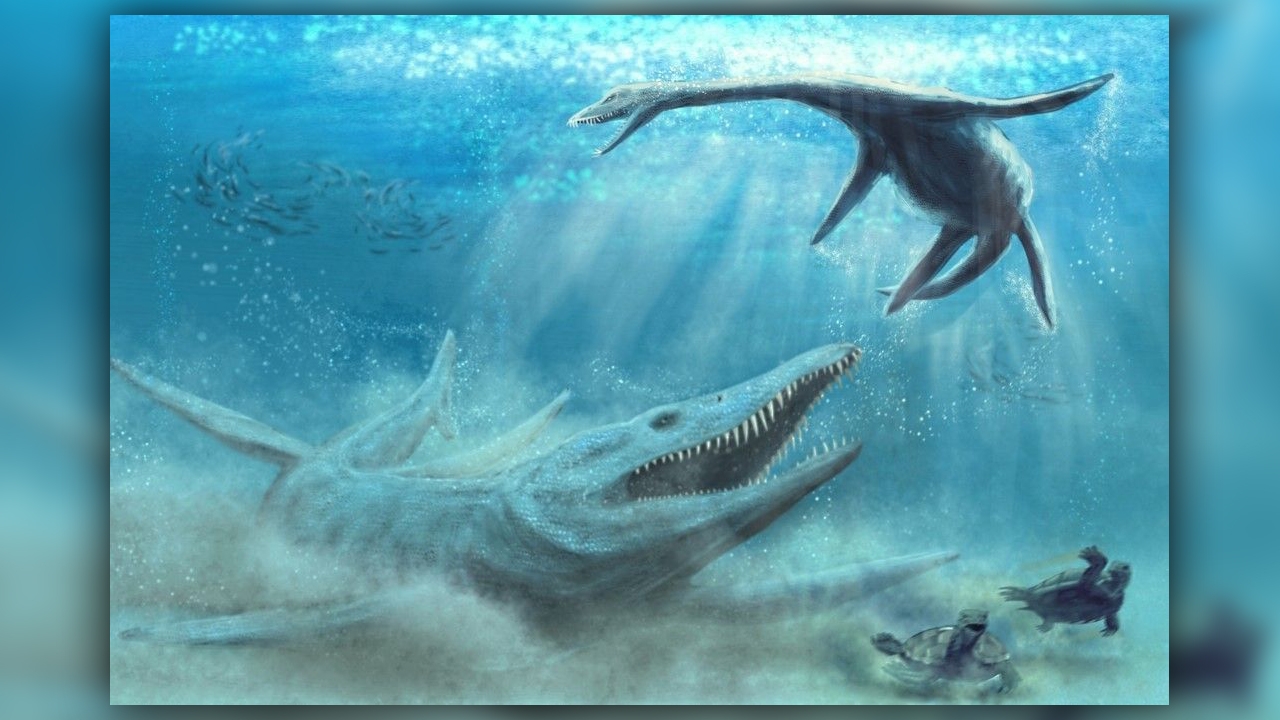 Remains Of A Massive Jurassic Sea Monster Found In A Polish Cornfield Live Science Remains Of A Massive Jurassic Sea Monster Found In A Polish Cornfield Live Science