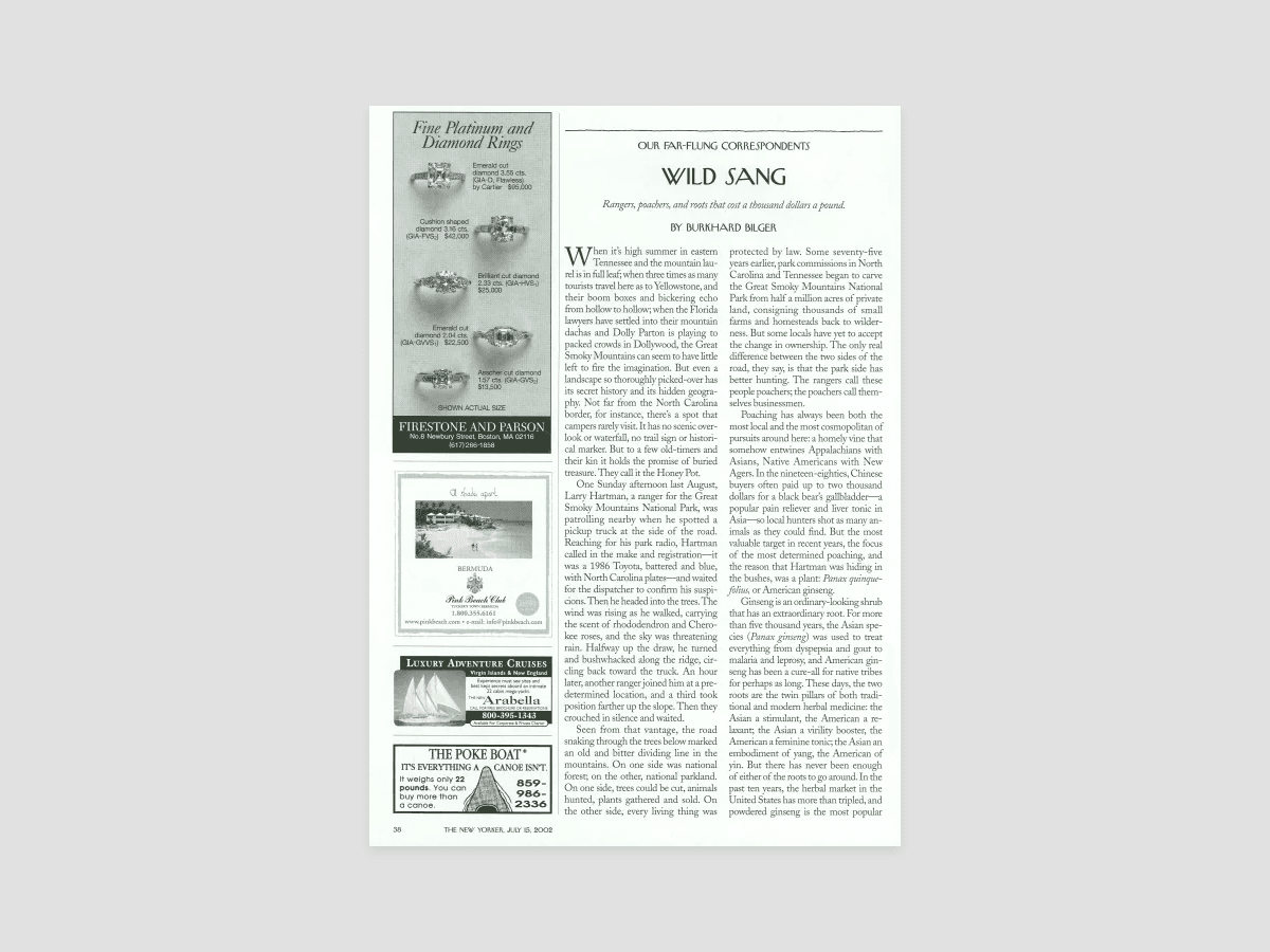 Wild Sang The New Yorker