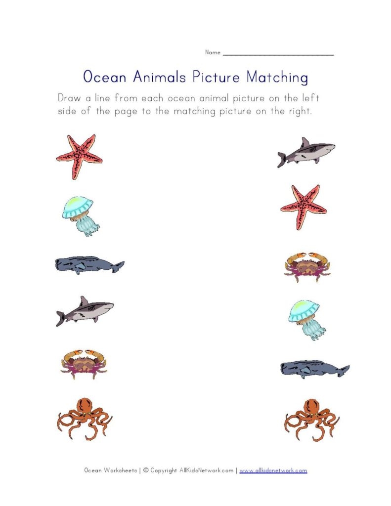 Activities And Worksheets For Preschoolers Pacific Beach Coalition Activities And Worksheets For Preschoolers Pacific Beach Coalition