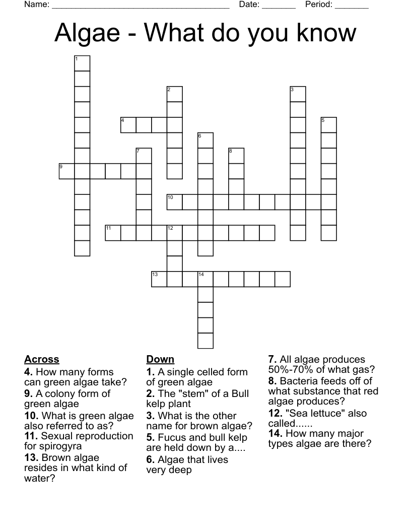 Algae What Do You Know Crossword WordMint Algae What Do You Know Crossword WordMint