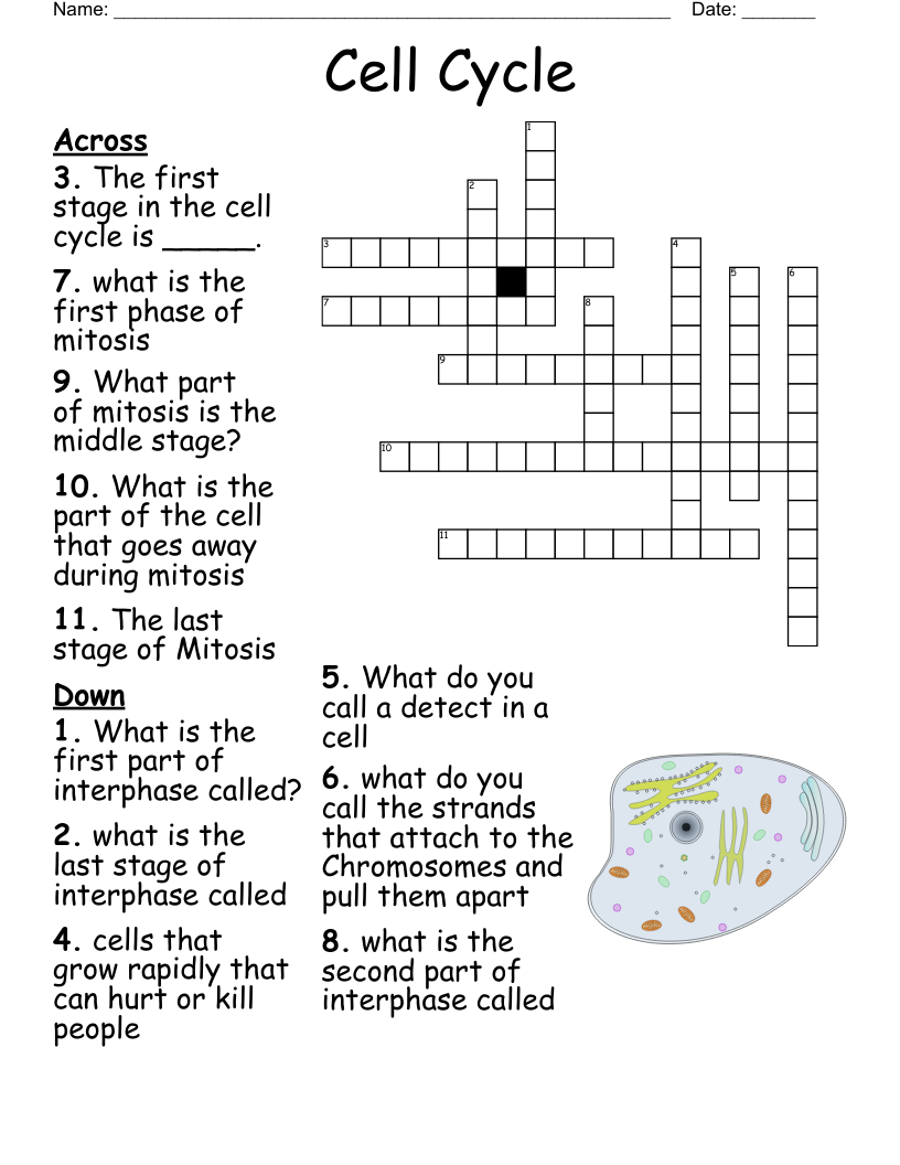 insect stage crossword clue insect stage crossword clue
