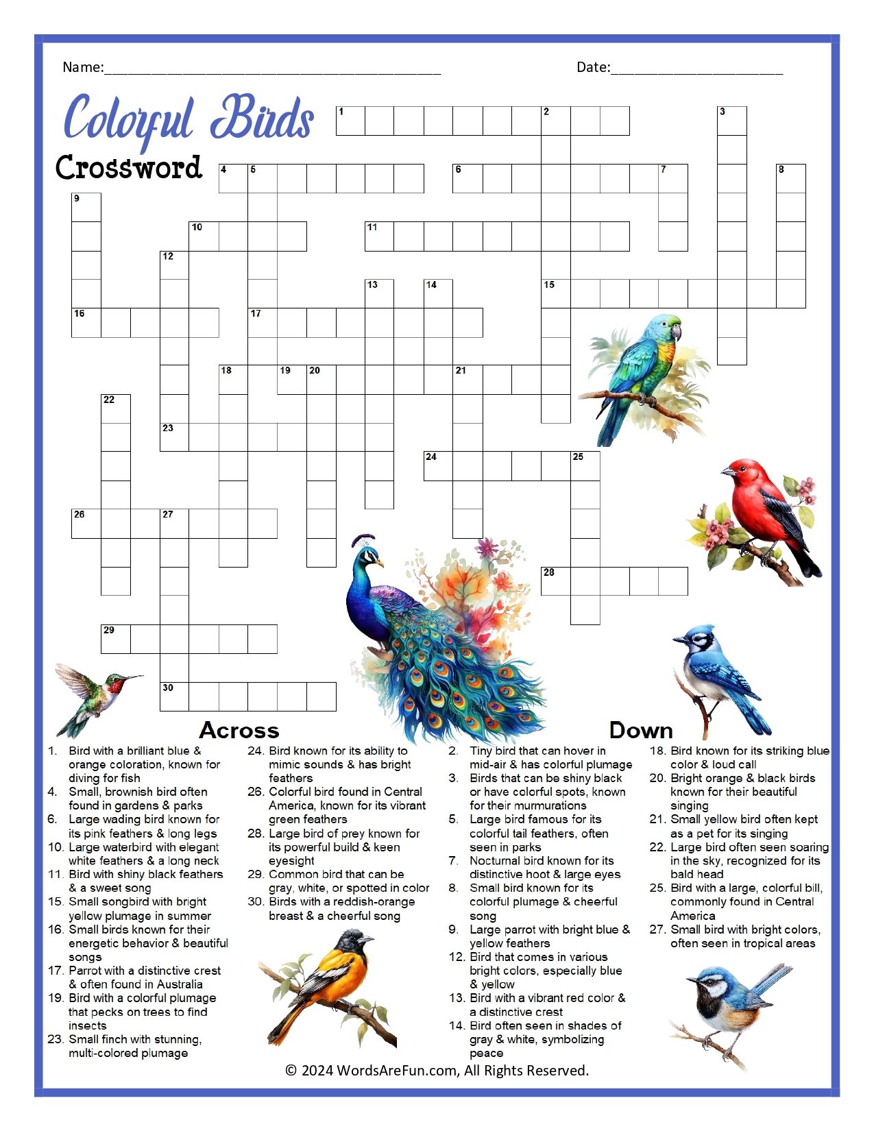 Colorful Birds Crossword