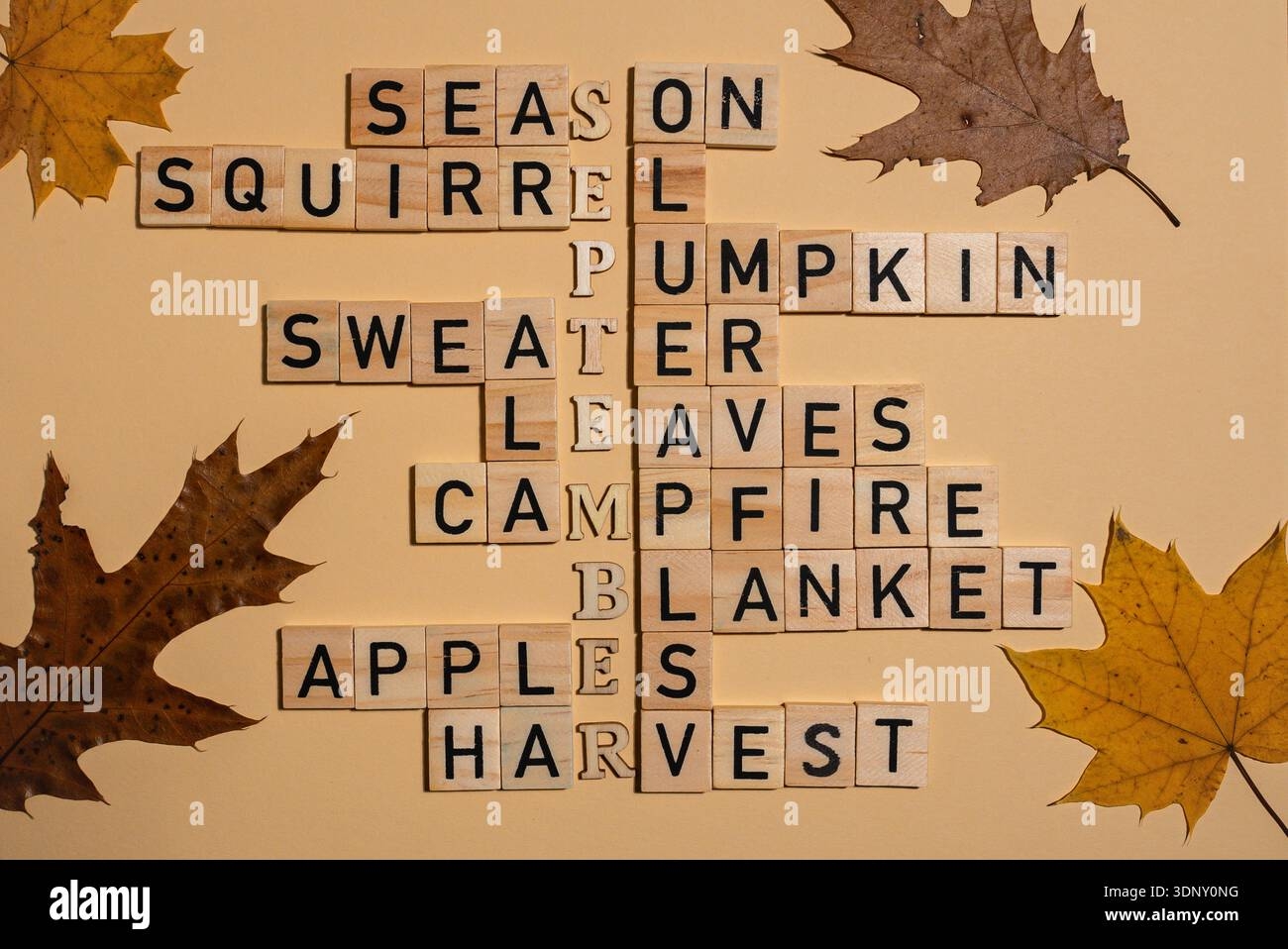 Crossword Background Hi res Stock Photography And Images Alamy