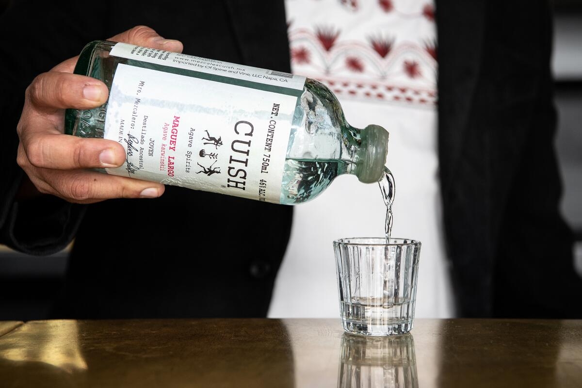 Everything You Need To Know To Be A Better Mezcal Drinker Los Angeles Times