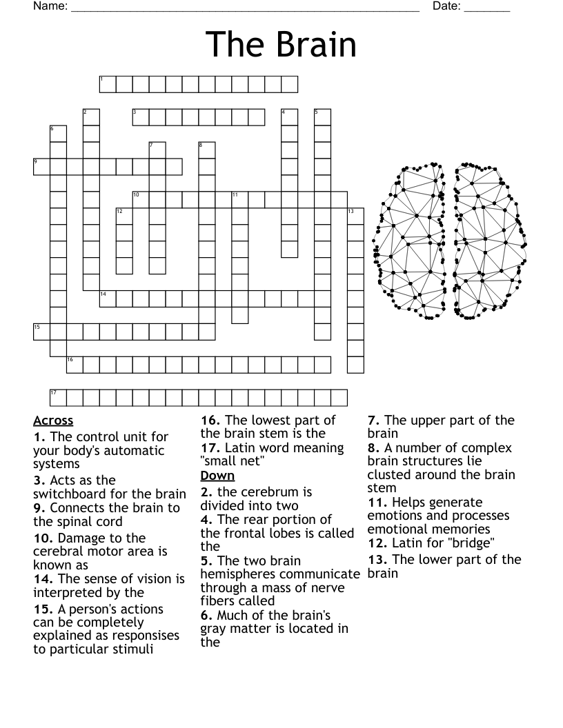 Family Brain Parts Teen Development Crossword WordMint