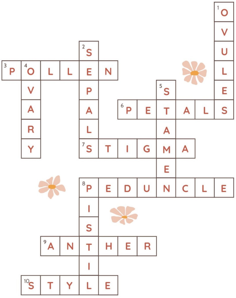 Flower Parts Crossword Solution Seasoned Times