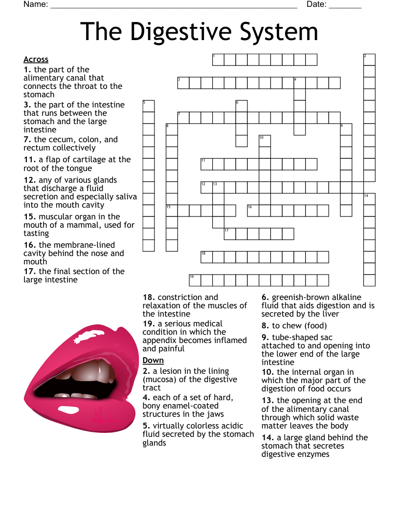 Lasso Those Words Crossword WordMint