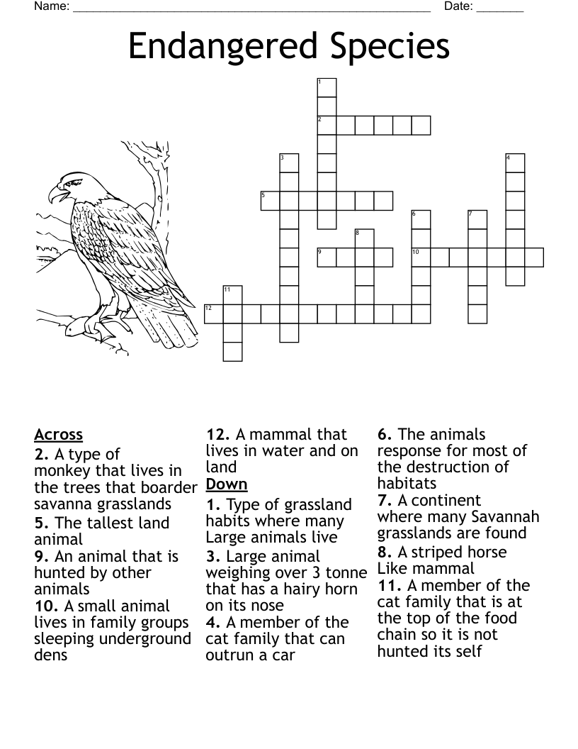 Lasso Those Words Crossword WordMint