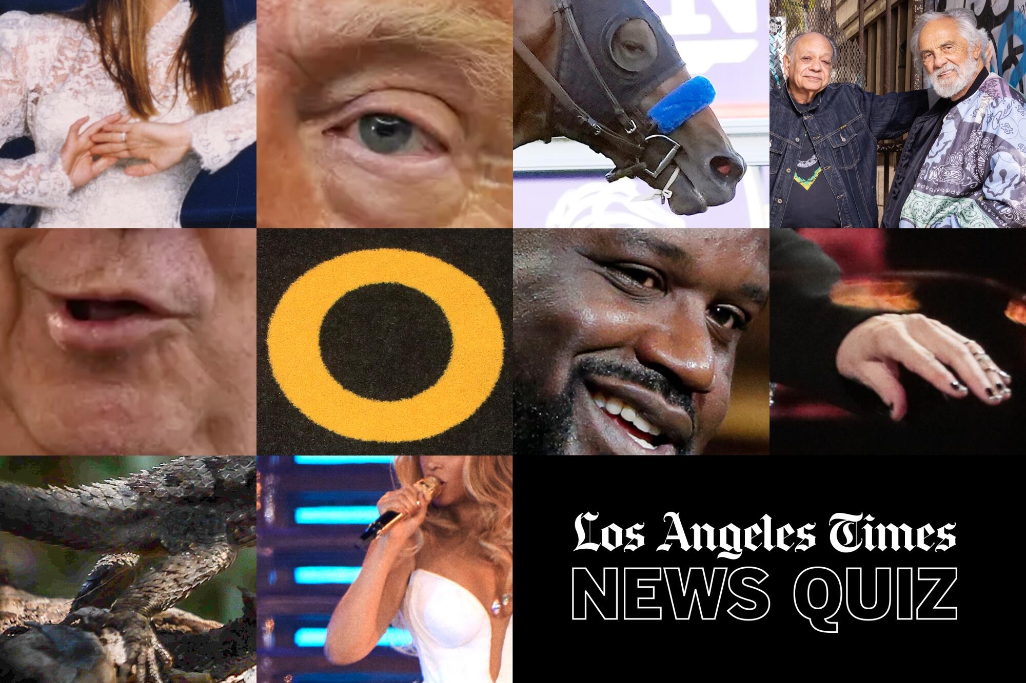 Looking For The L A Times Crossword Puzzle Try The News Quiz First Los Angeles Times