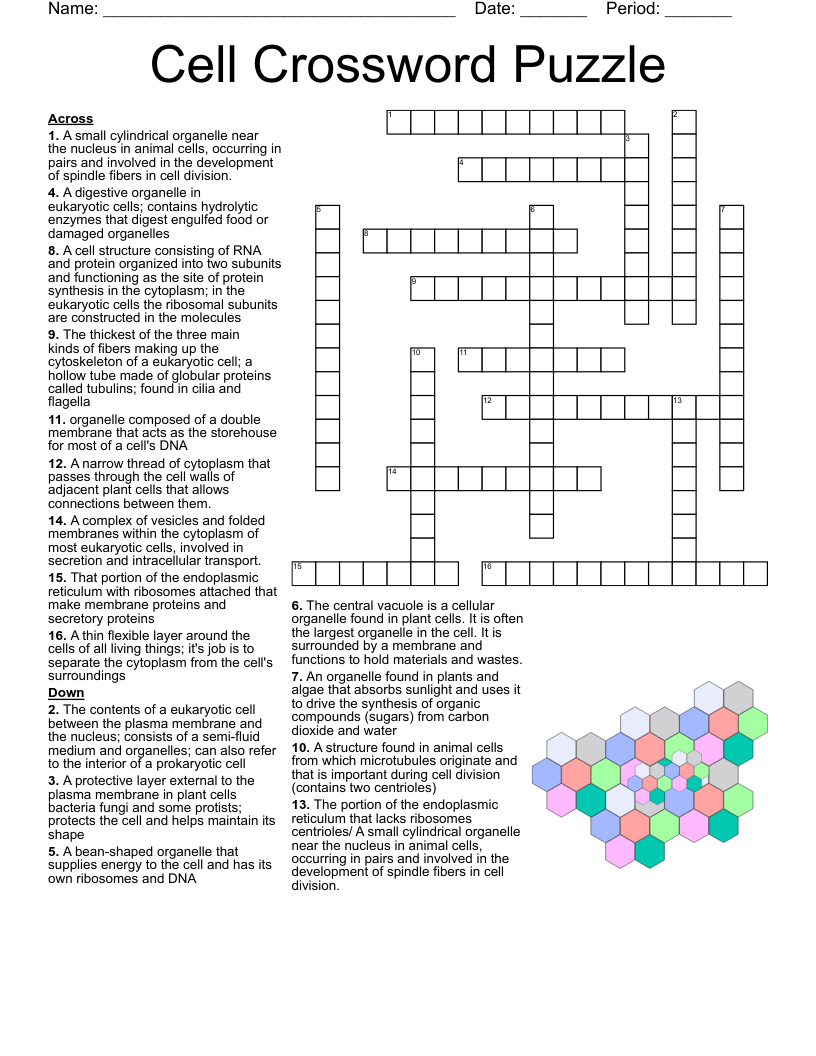 Macro And Micronutrients Crossword WordMint