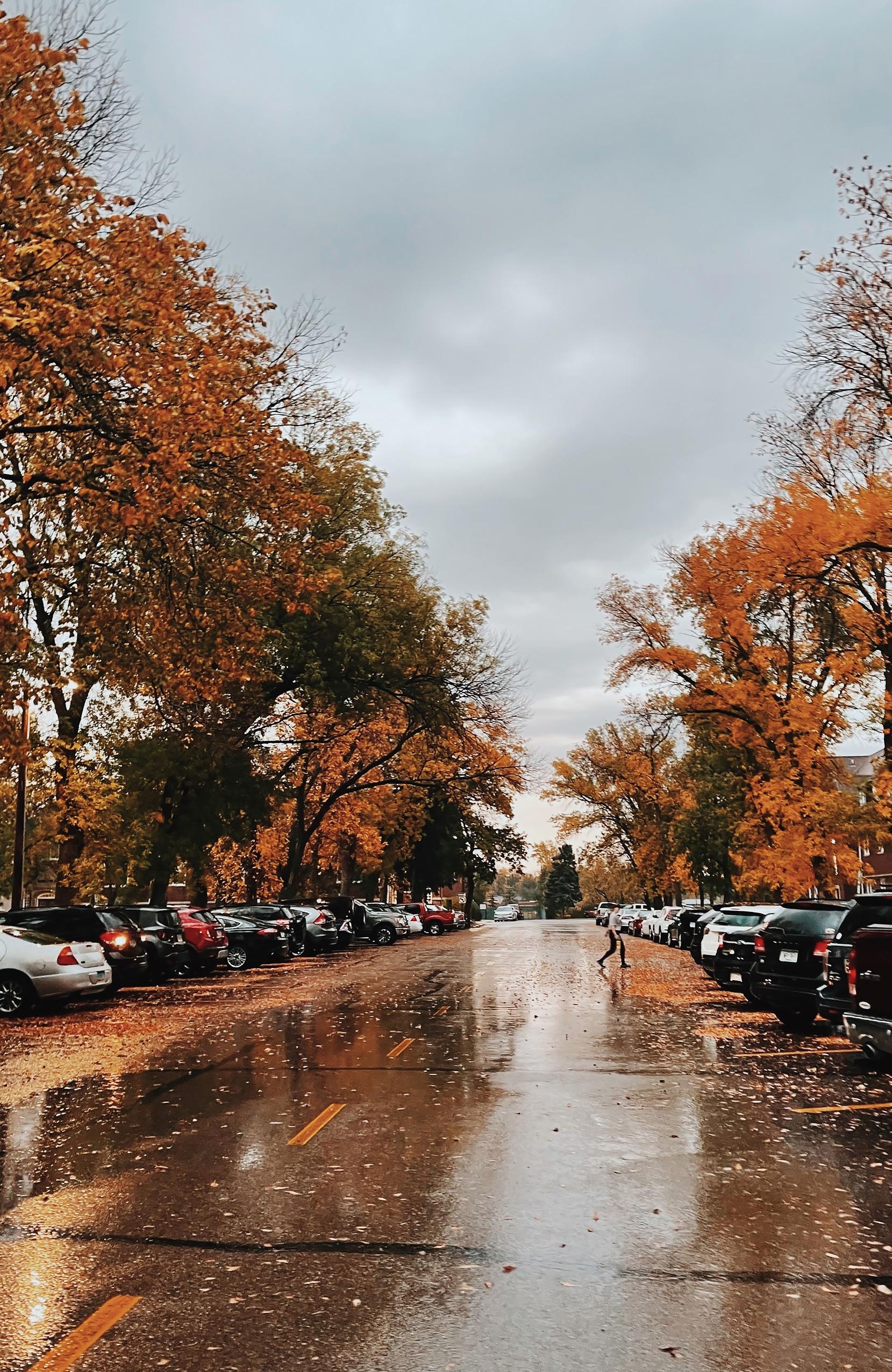 Plainsong 2023 By University Of Jamestown Issuu Plainsong 2023 By University Of Jamestown Issuu