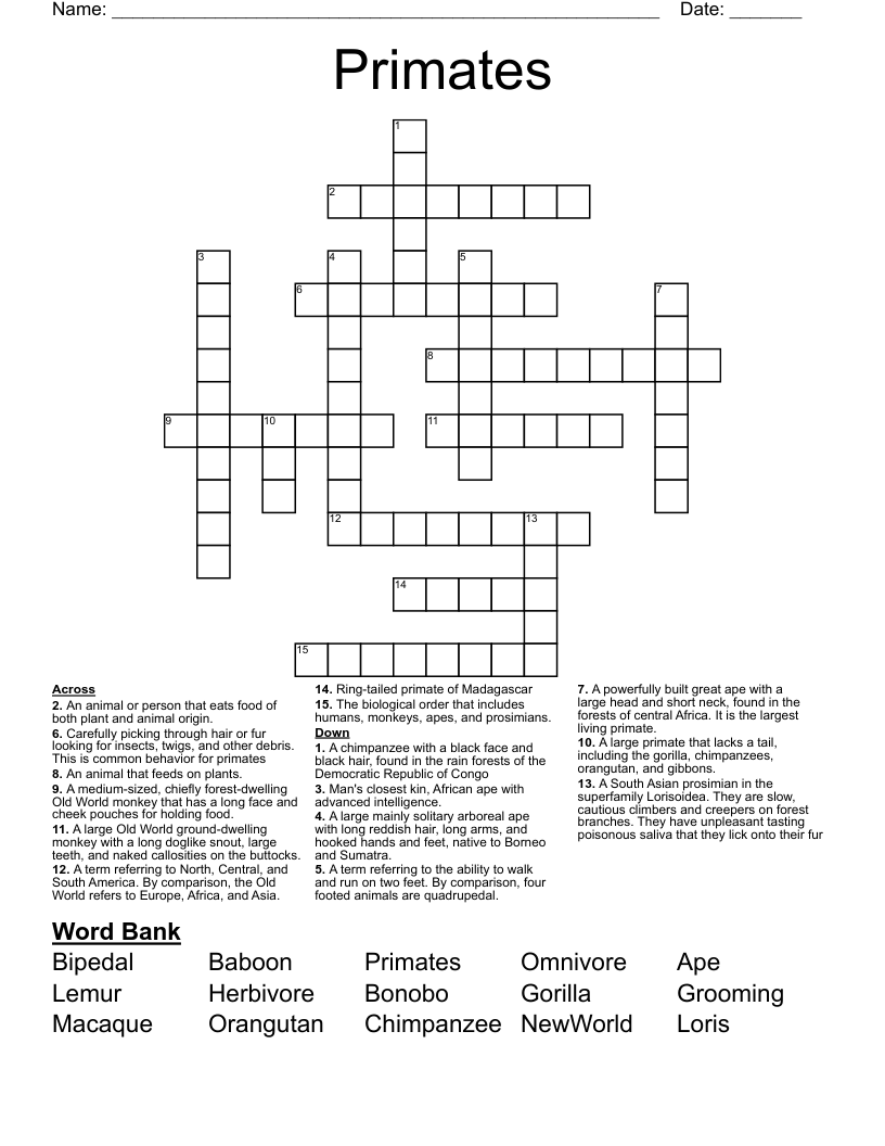 Primates Crossword WordMint