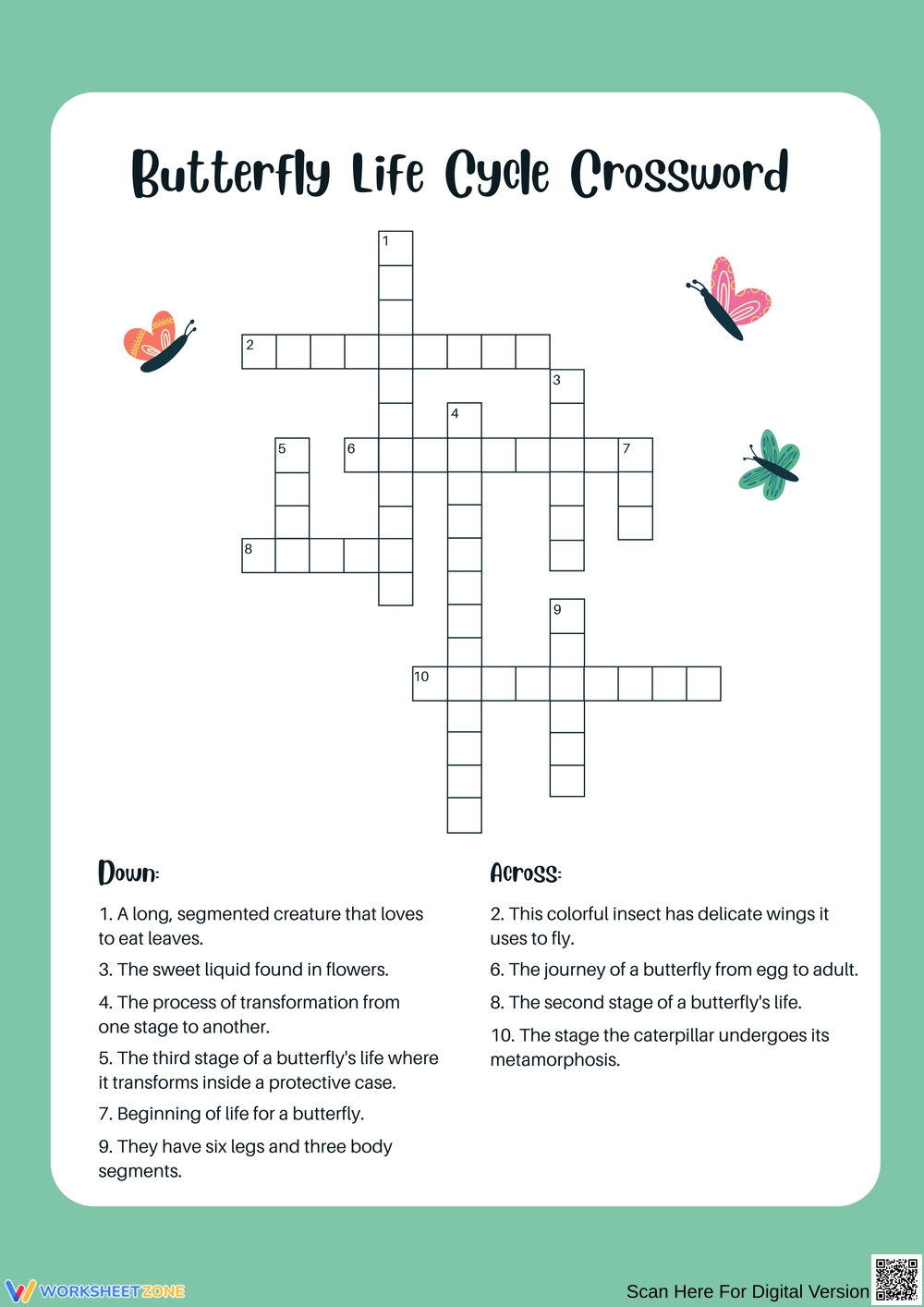 Printable 3rd Grade Easter Butterfly Life Cycle Worksheets Printable 3rd Grade Easter Butterfly Life Cycle Worksheets