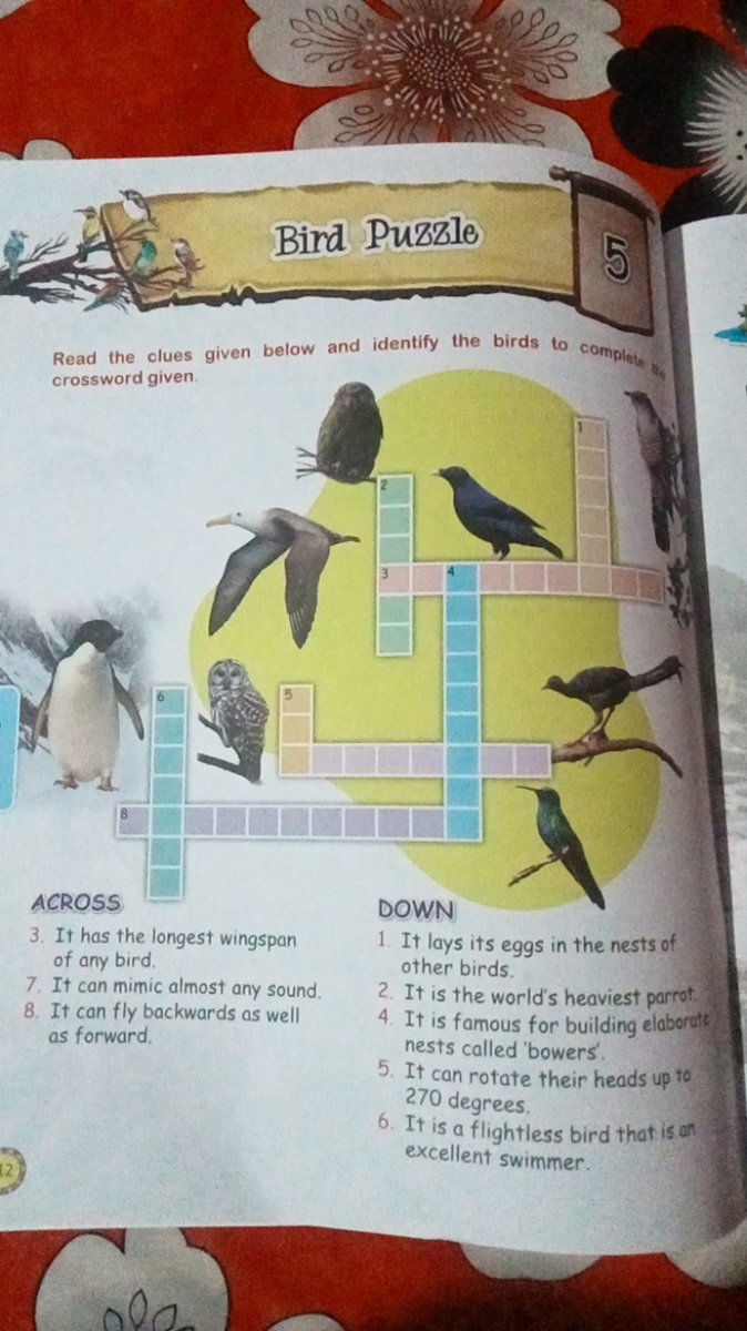 Read The Clues Given Below And Identify The Birds To Complete The Crosswo Read The Clues Given Below And Identify The Birds To Complete The Crosswo