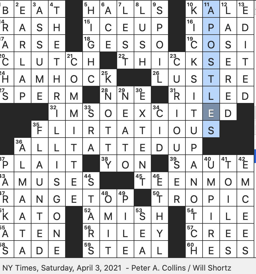 severely criticizes nyt crossword clue