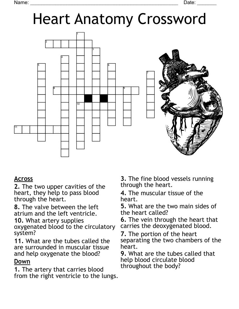 The Heart Crossword WordMint