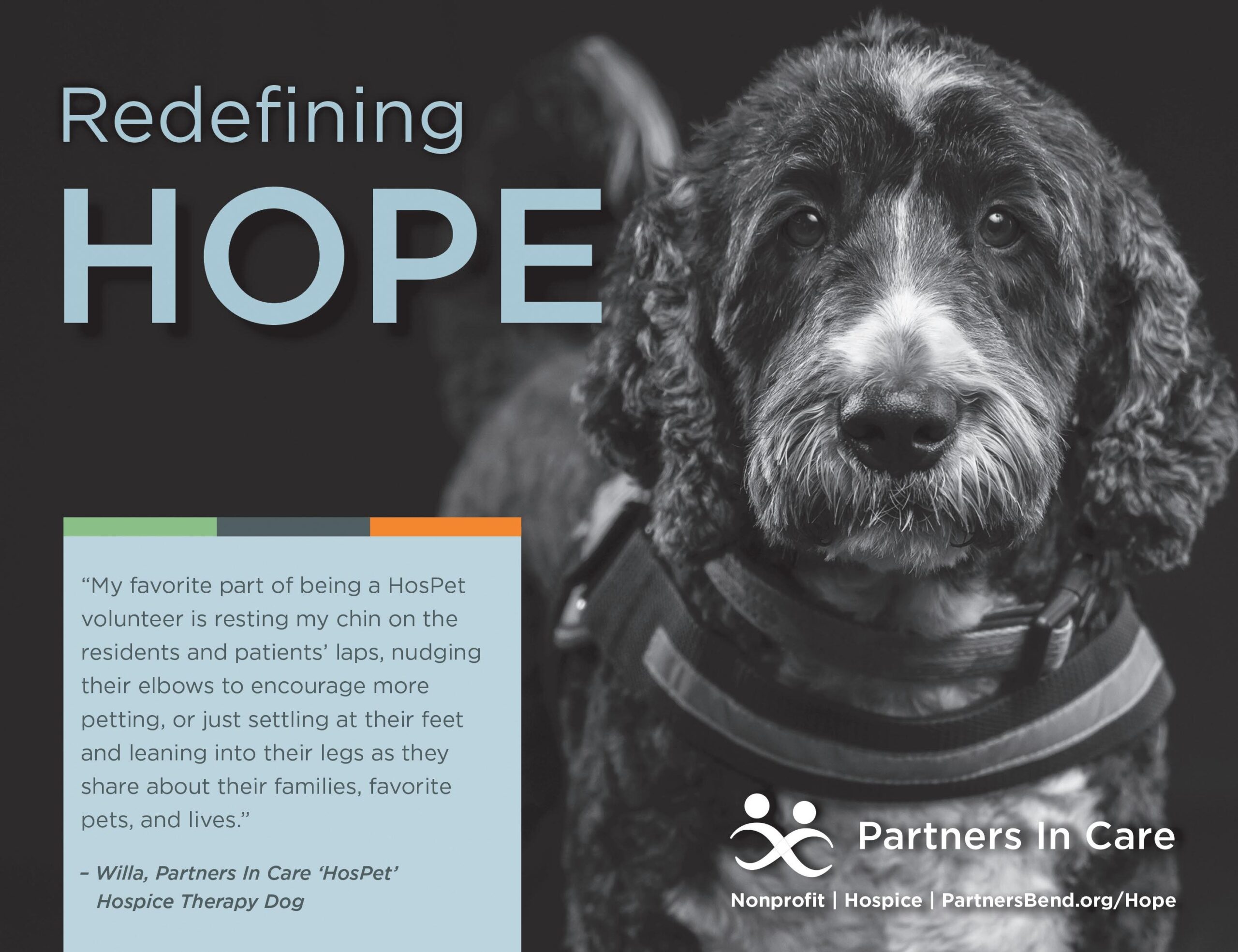 The Nugget Newspaper Vol XLVII No 24 2024 06 12 By Nugget Newspaper Issuu