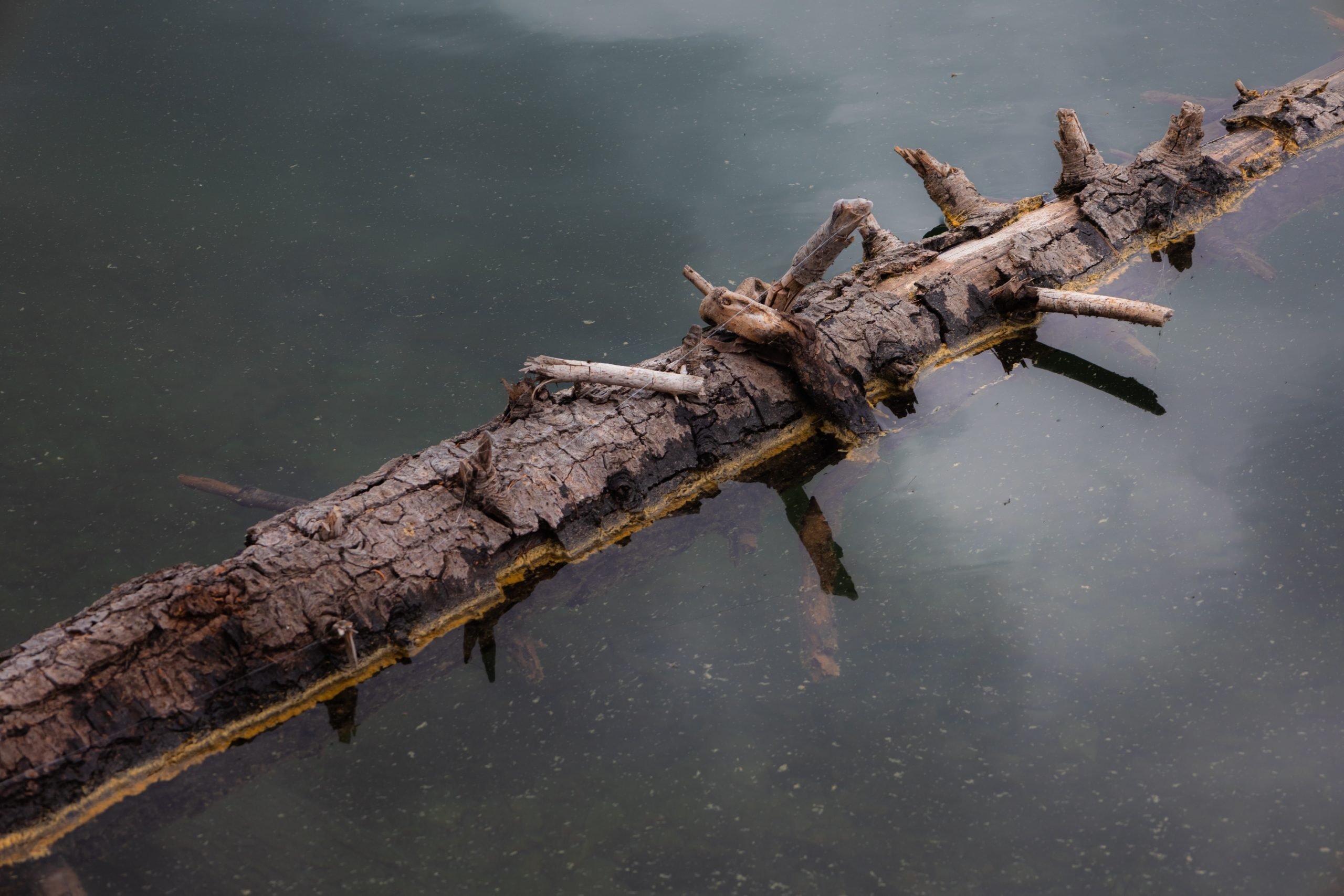 floating calmly crossword clue