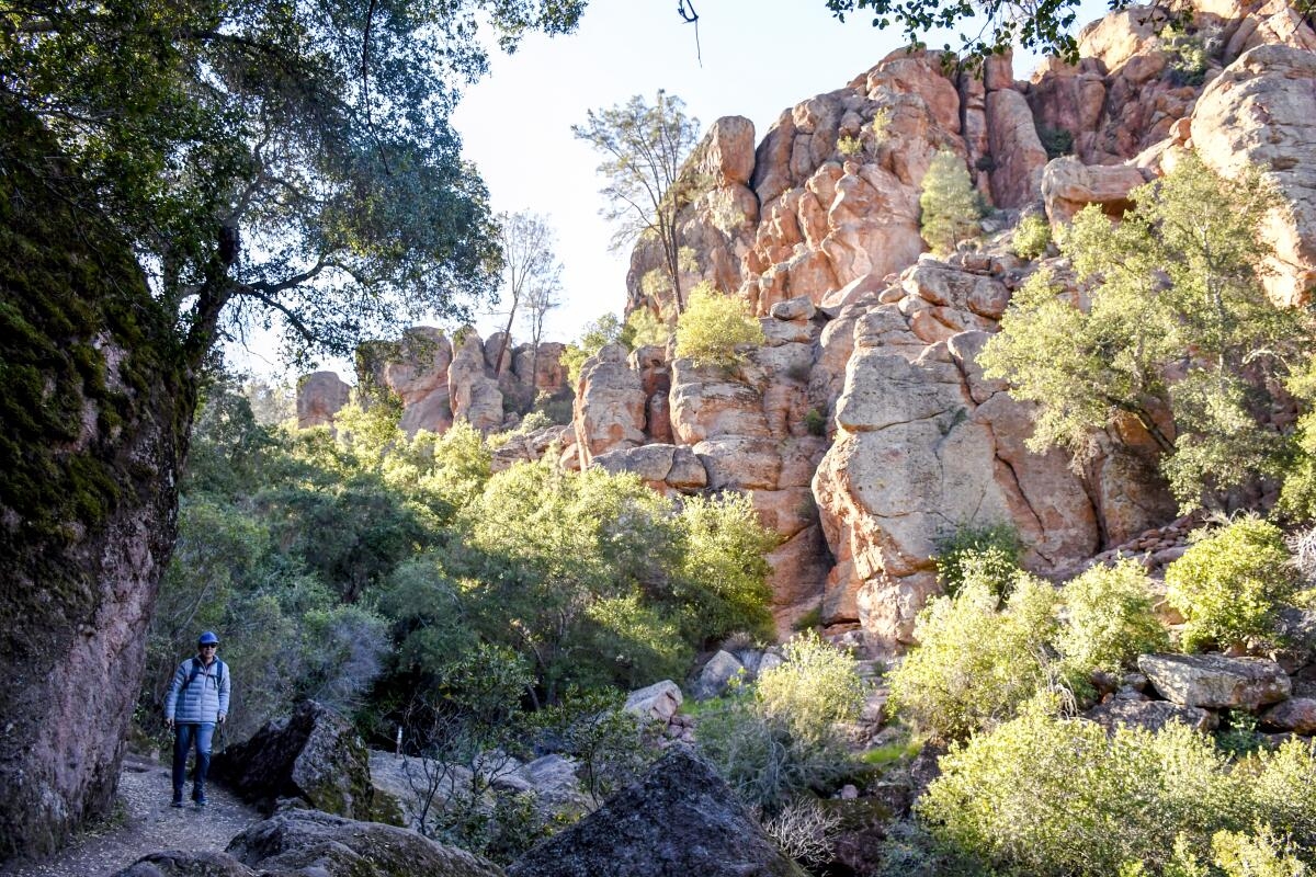 Why Are So Many People Heading To Pinnacles National Park Los Angeles Times Why Are So Many People Heading To Pinnacles National Park Los Angeles Times